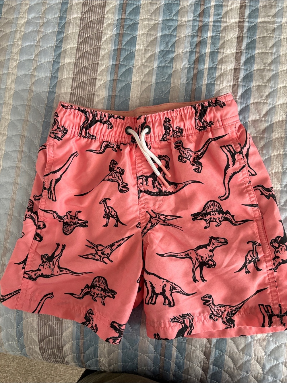 Cat & Jack Pink Dinosaur Print Swim Shorts